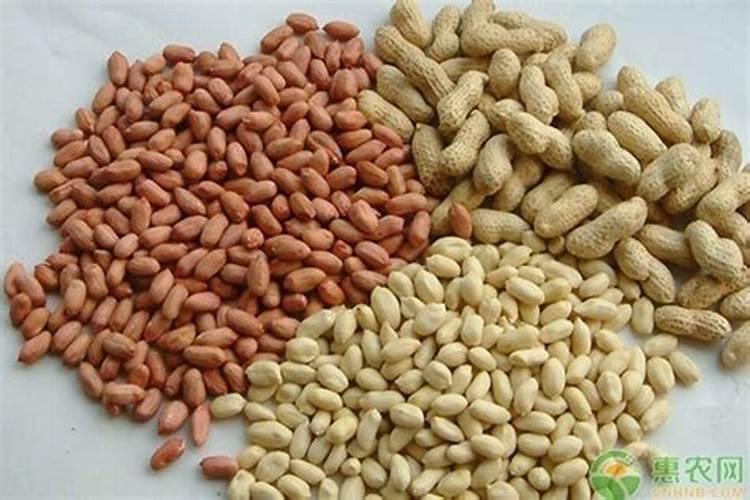 固镇有机肥公司排名前十