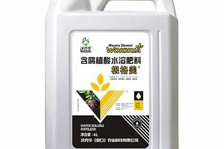 西洋集团发展简史