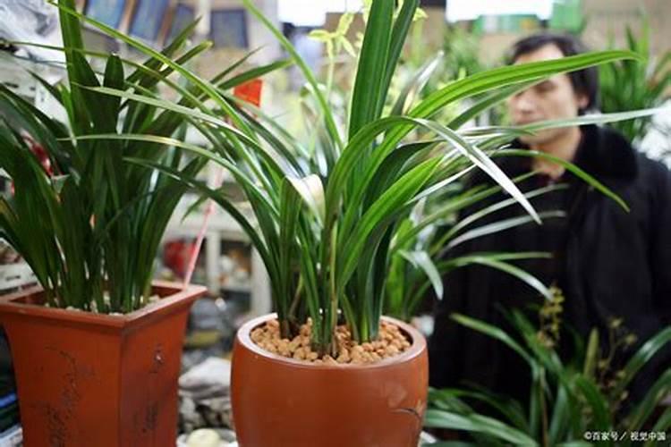 易美亚第五元素水是做什么的？