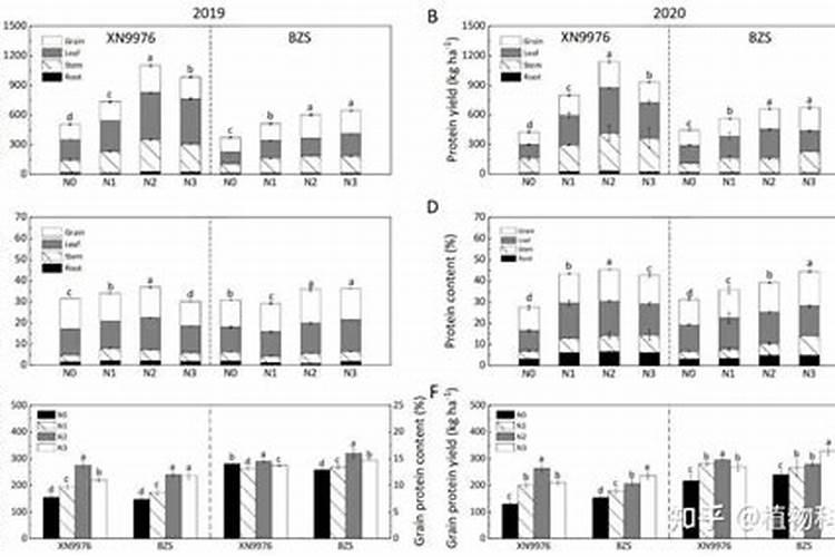 在咱们家里,什么东西算是氮肥呀