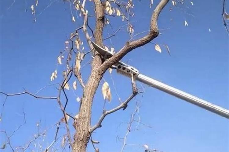 大太阳能给植物浇水吗