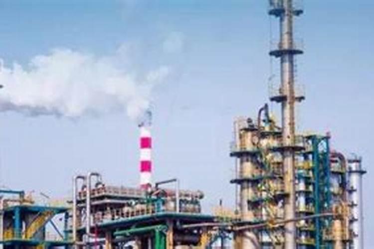 三角梅难开花如何养护开花更多