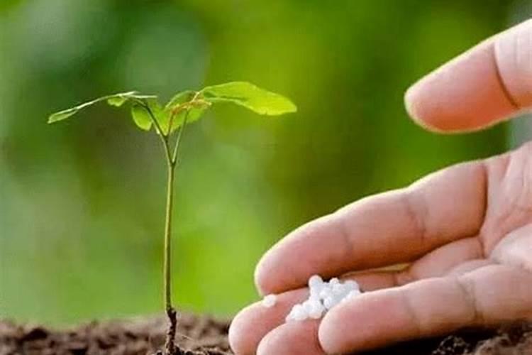 水溶肥和普通肥料有什么区别？