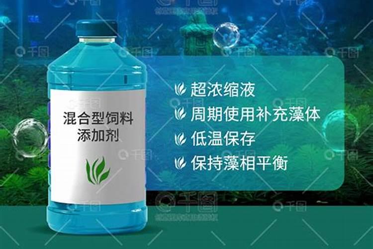 硅藻和小球藻哪个好