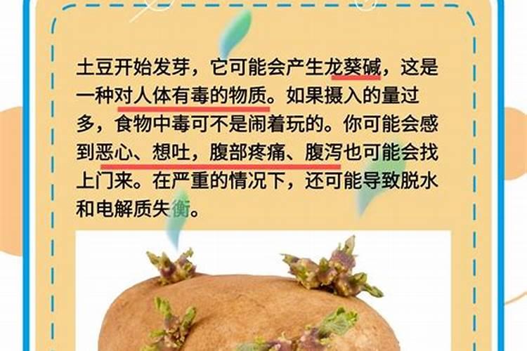 南瓜接瓜后要追什么肥