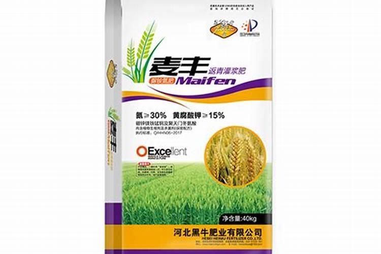 浇返青水上什么肥料