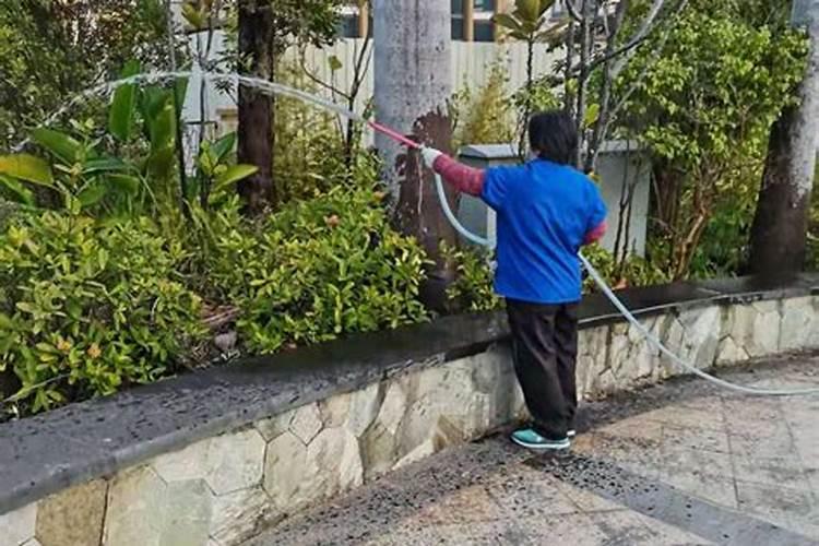 大蒜返青水用什么肥料好