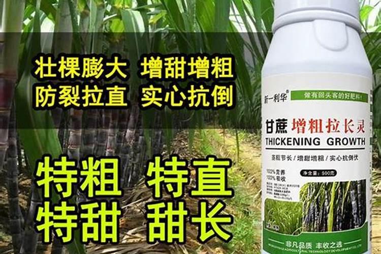 果树果子增甜喷洒什么肥料