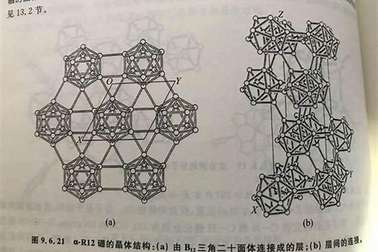 多肉橙梦露如何才能把叶子养肥