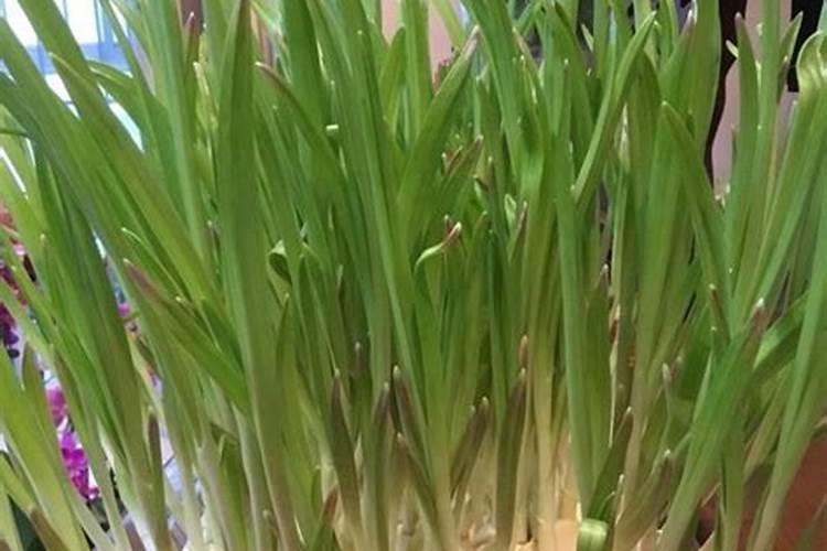 求总结高中涉及的所有反应条件时高温的化学反应