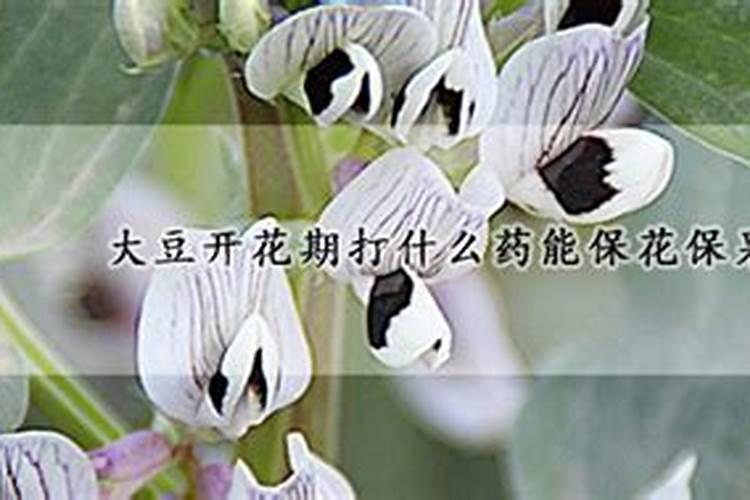 好消息!听说这8种东西能做肥料!花与生活  花卉网