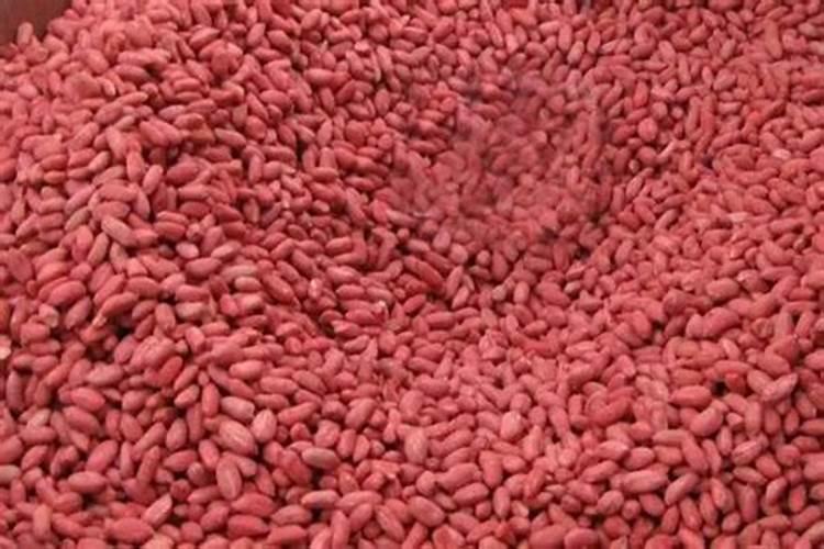 花生拌种能不能烧种子