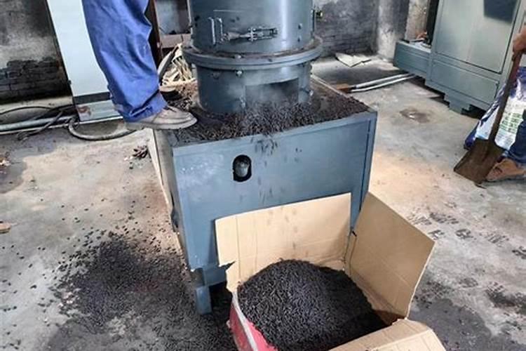 西瓜刚出土两片叶发黄怎么回事？