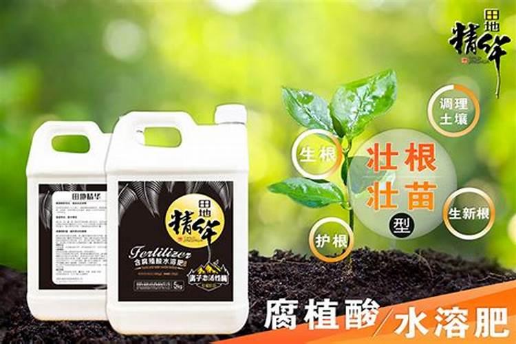 我国钾肥的进口国主要是