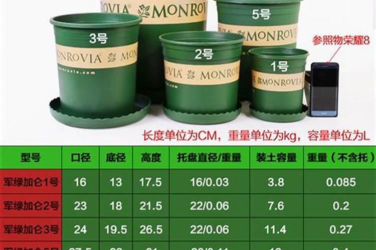 玫瑰在水里怎么养殖,4步将干净、美丽的玫瑰留在家中!