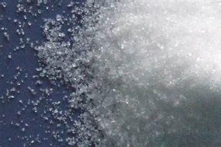 月季花施磷酸二氢钾肥料的正确用法