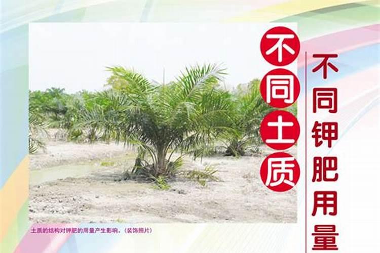 钾肥和磷肥分别是什么颜色的