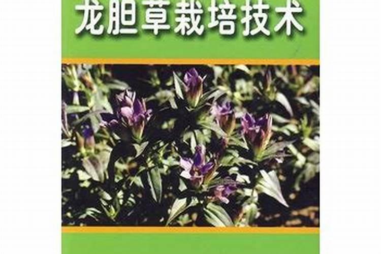 求化工厂反应方程式,进来看