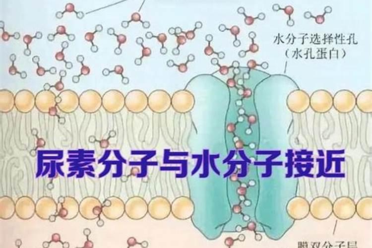磷酸二氢钾和钙肥正确使用方法