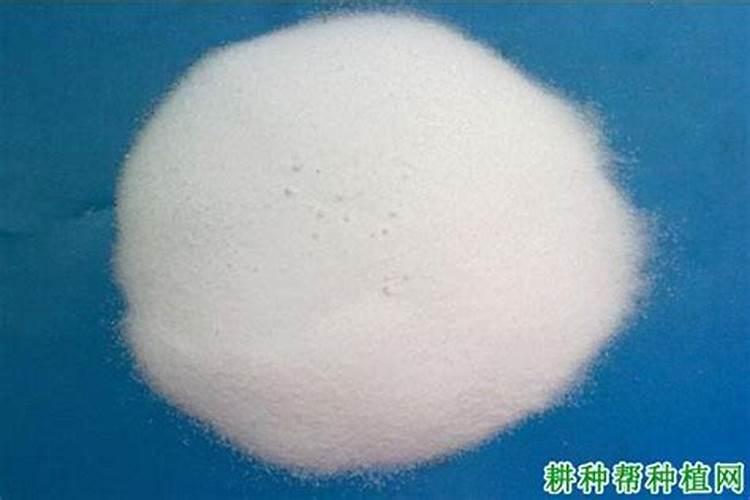 甘蔗又粗又长怎样施肥