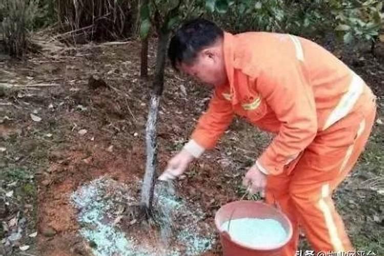 汉中唐枫化工有限责任公司怎么样？