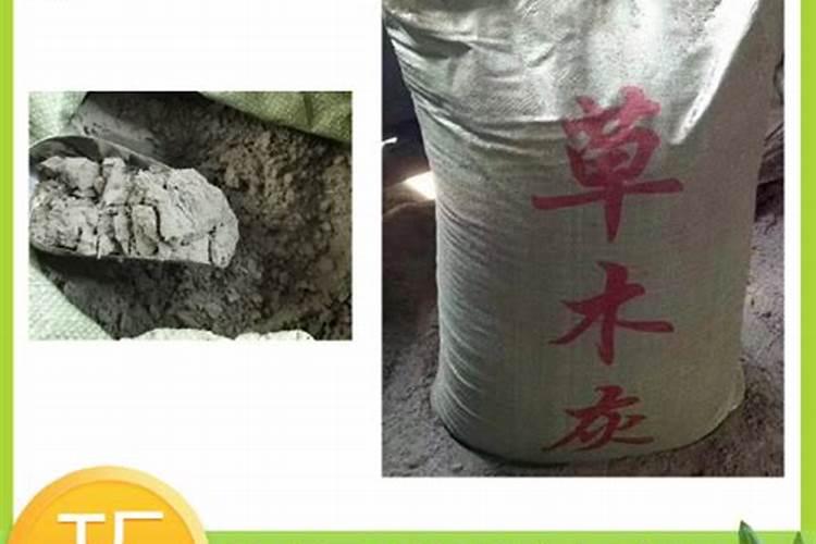 种百香果施什么肥