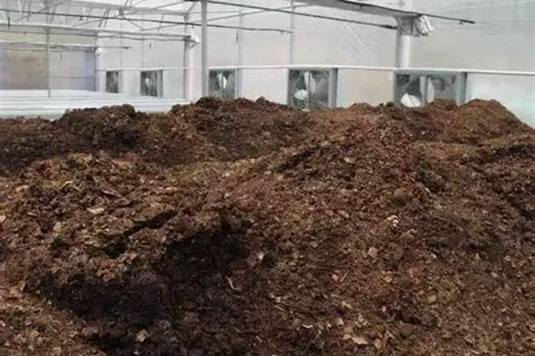 家里用什么可以做花肥花肥怎么施效果好