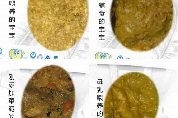 荆芥的种植方法及种植时间荆芥需要施什么肥