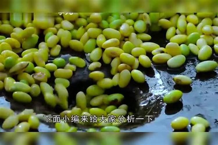 使用磷酸二氢钾的正确方法是啥