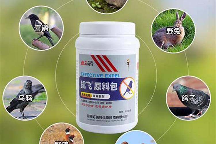 复合肥化水浇花正确方法