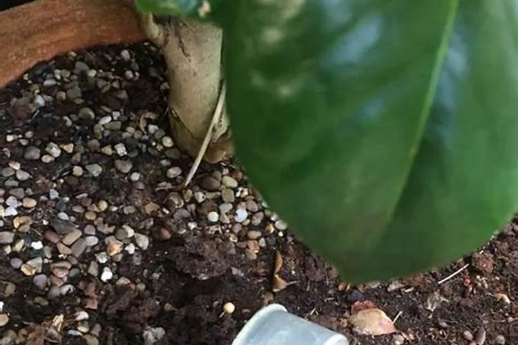 哪些铵盐可以加热分解？