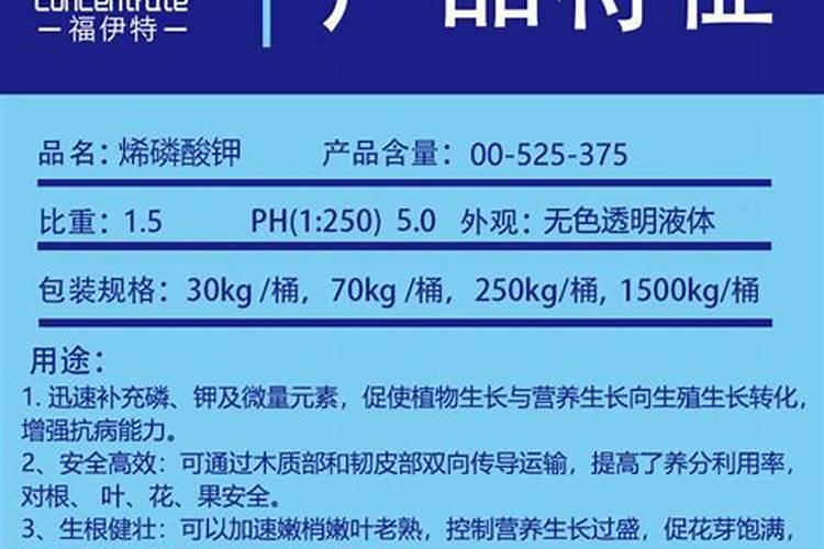 花叶喷什么又绿又亮