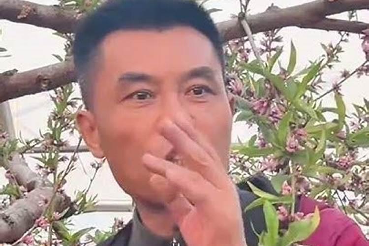 花果控释肥的使用方法