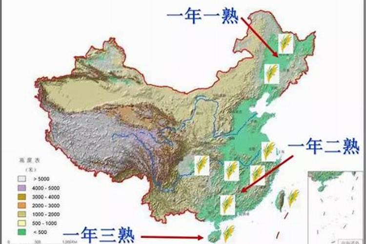 水稻灌浆期用什么叶面肥可增产