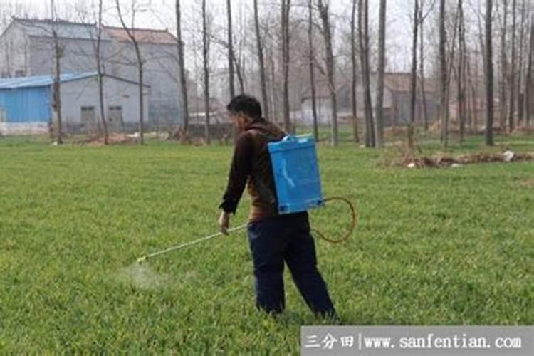 小麦一年施肥几次 施肥最佳时间