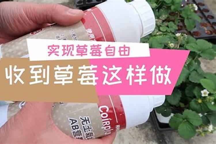 国内最好的叶面肥品牌