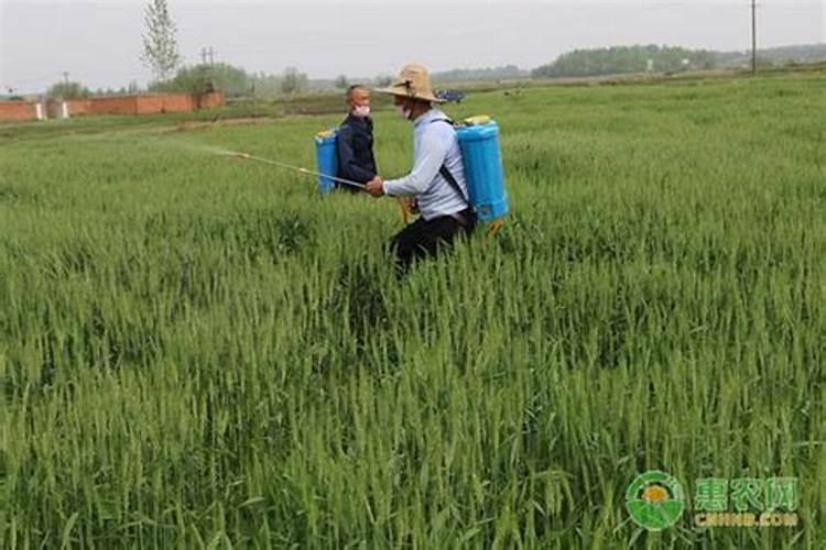 水溶肥摩力施能和农药起喷雾吗？还想加杀菌剂