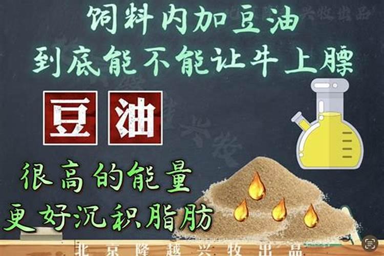 红豆杉用什么肥料最好