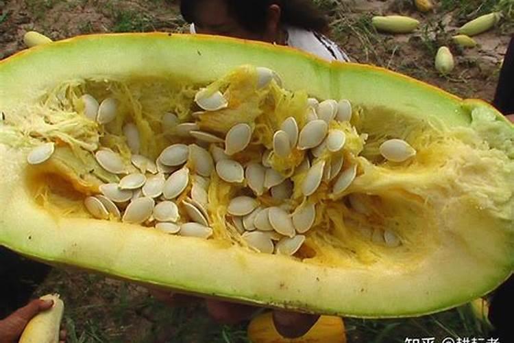 果树施硼肥怎么操作？果树施硼肥有什么用？