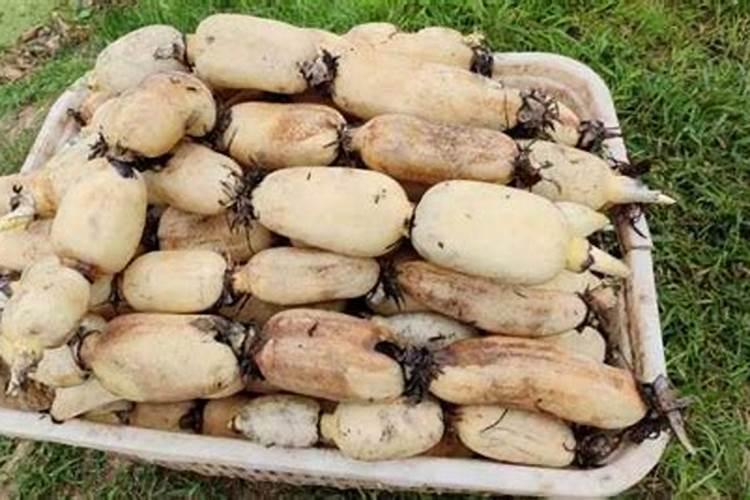 磷钾肥能不能和补钙肥混合用？