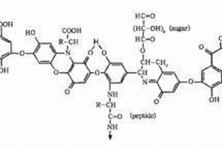 果树嫁接又到时 施用农肥好事机