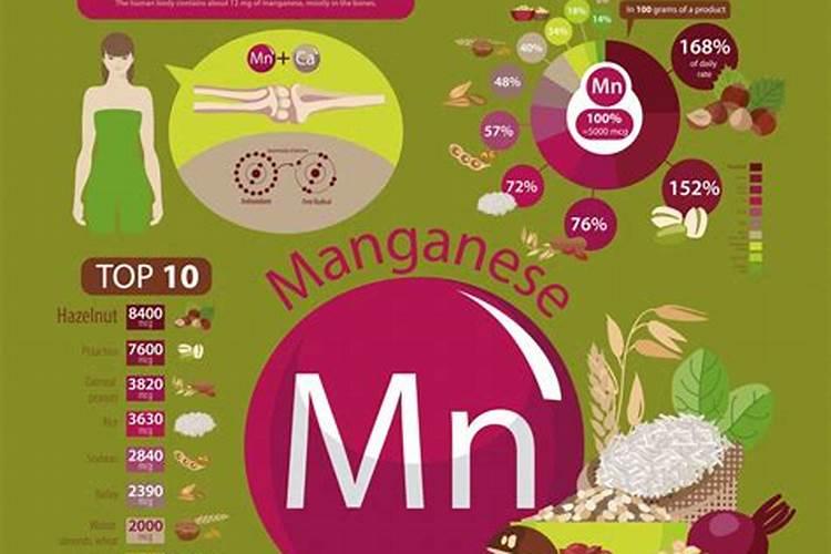 种菜用什么肥料最好