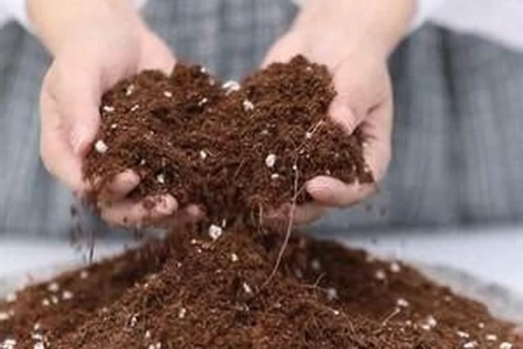 家庭养花营养土配制的方法(自制栽花营养土5大配方)