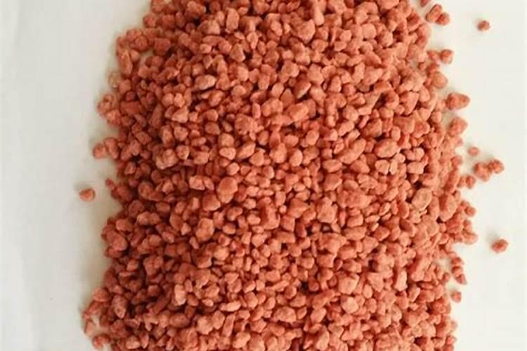 昙花怎么养才开花,5个步骤使其快速开花