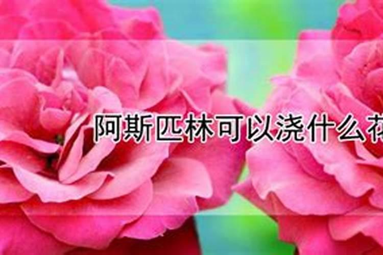 植物油能浇花吗