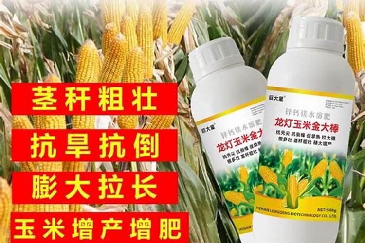 什么是硅水凝胶,有什么特点。怎么区分？