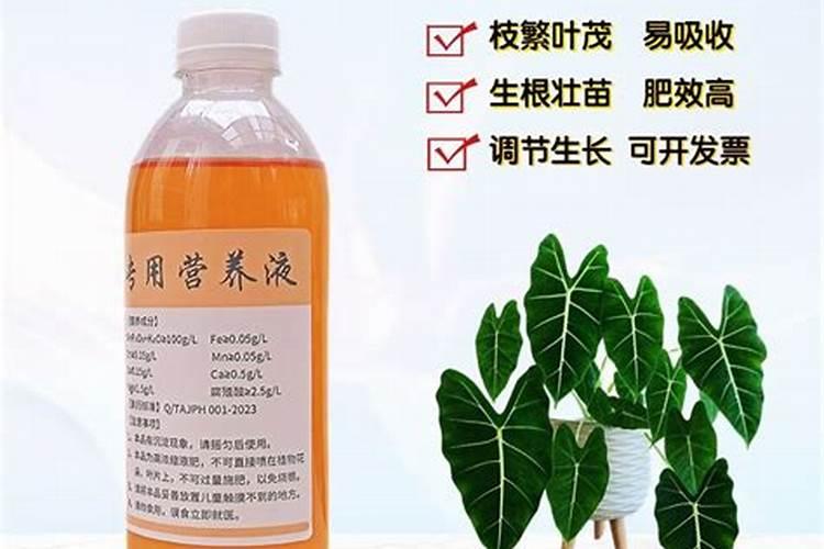 水田生产怎样提高氮肥和磷肥的利用率？