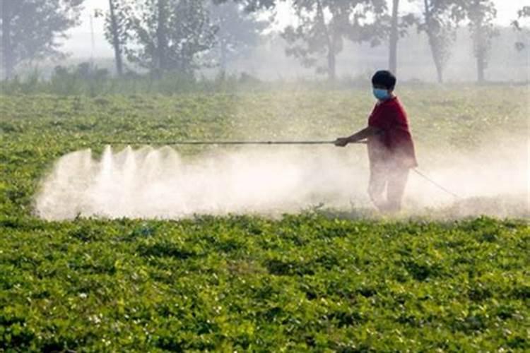 什么时候给花施肥最好 何时给花施肥最好