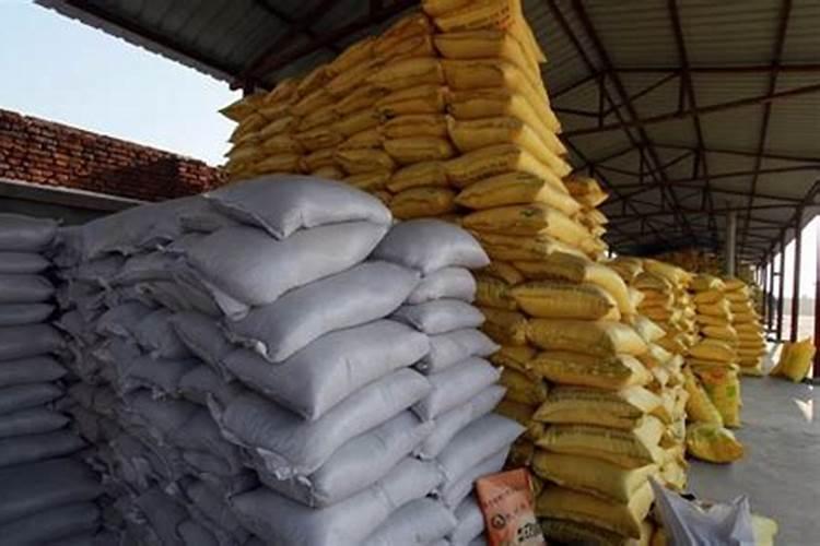 怎么养韭菜长得快如何养韭菜长得快