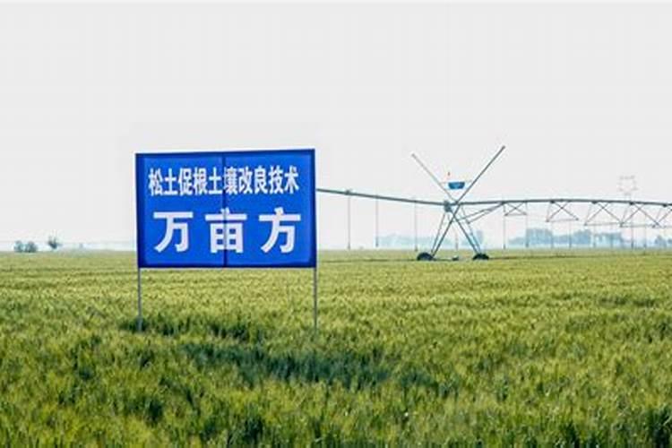 土壤调理剂和化肥适用的税率是一样的吗？